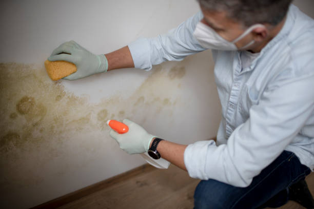 Crawl Space Mold Removal in Cascade Locks, OR